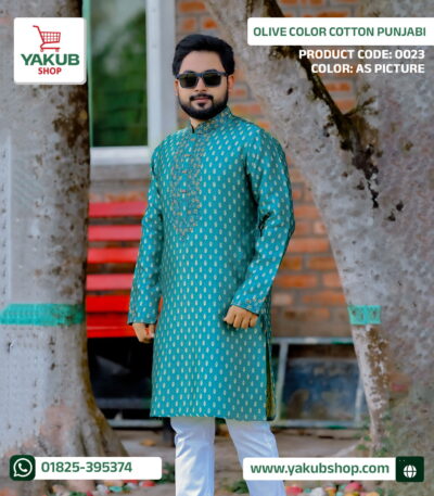 Turquoise colored cotton Punjabi (2)